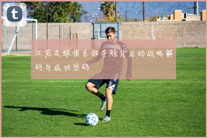 江苏足球俱乐部夺冠背后的战略解码与成功密码