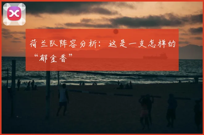荷兰队阵容分析:这是一支怎样的“郁金香”
